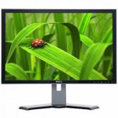 Dell Monitor 19