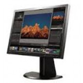 NEC Monitor 19" TFT LCD 5:4 1280x1024 0.294mm Black DVI-D And VGA (HD-15) W/Stand L194RH