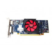 Dell Video Card AMD RADEON HD6450 1GB LP PCIe X16 M0KV6