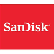 SanDisk Endurance microSDXC Memory Card, 64GB, SDSDQQ-064G-G46A,