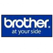 Brother Multipurpose Label - Rectangle - Polypropylene - 1455 / Roll - TAA Compliance BFS1B051102