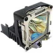 BenQ Replacement Lamp - 210W - 3000 Hour Normal, 4000 Hour Economy Mode 5J.J1V05.001