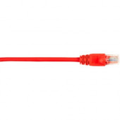 Black Box CAT5e Value Line Patch Cable, Stranded, Red, 1-ft. (0.3-m), 5-Pack - 1 ft Category 5e Network Cable for Network Device - First End: 1 x RJ-45 Male Network - Second End: 1 x RJ-45 Male Network - Patch Cable - Gold Plated Contact - Red - 5 Pack - 