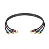 Black Box Video Cable - RCA Male Video - RCA Male Video - 25ft EJ517-0025