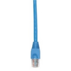 Black Box GigaTrue Cat. 6 UTP Patch Cable - RJ-45 Male - RJ-45 Male - 5ft - Blue EVNSL641-0005