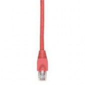 Black Box GigaTrue Cat. 6 UTP Patch Cable - RJ-45 Male - RJ-45 Male - 15ft - Red EVNSL643-0015