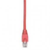 Black Box GigaTrue Cat. 6 UTP Patch Cable - RJ-45 Male - RJ-45 Male - 30ft - Red EVNSL643-0030