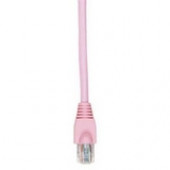 Black Box GigaTrue Cat. 6 Channel UTP Patch Cable - RJ-45 Male - RJ-45 Male - 2ft - Pink EVNSL646-0002