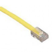 Black Box Gigabase Cat. 5E UTP Patch Cable - RJ-45 Male - RJ-45 Male - 1ft - Purple EVNSL79-0001