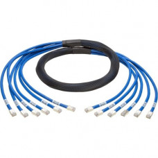 Tripp Lite 6ft Augmented Cat6 Cat6a Pre-Terminated Copper trunk Bundle 6xRJ45 M/M 6'' - 6 ft Category 6a Network Cable for Network Device, Switch, Patch Panel - First End: 6 x RJ-45 Male Network - Second End: 6 x RJ-45 Male Network - 1.25 