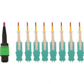 Tripp Lite N845-02M-8S-MG Fiber Optic Network Cable - 6.56 ft Fiber Optic Network Cable for Network Device, Patch Panel, Switch, Transceiver - First End: 1 x MTP/MPO APC Network - Female - Second End: 16 x SN/PC Network - Male - 400 Gbit/s - LSZH, OFNR - 