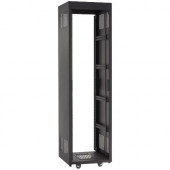 Chief E1-series NE1F3623 Enclosed Rack Cabinet - 36U Wide - Black - Steel - 2500 lb x Maximum Weight Capacity NE1F3623