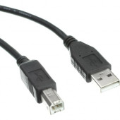 Accortec USB 2.0 Type-A to Type-B Cable M/M 3ft - 3 ft USB Data Transfer Cable for Mouse, Keyboard, Portable Hard Drive, Printer, Camera - First End: 1 x Type A Male USB - Second End: 1 x Type B Male USB - 480 Mbit/s - Shielding USB2ABMM03