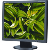 NEC Display AccuSync AS194MI-BK 19" SXGA WLED LCD Monitor - 5:4 - 19" Class - In-plane Switching (IPS) Technology - 1280 x 1024 - 16.7 Million Colors - 250 Nit Typical - 6 ms - 75 Hz Refresh Rate - DVI - HDMI - VGA - DisplayPort - TAA Compliance