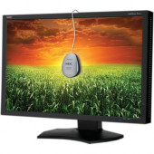 NEC Display MultiSync P241W 24" WUXGA CCFL LCD Monitor - 16:10 - Black - In-plane Switching (IPS) Technology - 1920 x 1200 - 16.7 Million Colors - 360 Nit - 8 ms - 85 Hz Refresh Rate - DVI - VGA - DisplayPort - RoHS Compliance P241W-BK