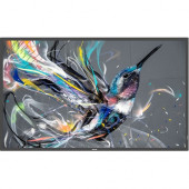 Philips Signage Solutions Q-Line Display - 54.6" LCD - ARM Cortex A73 1.10 GHz - 2 GB DDR3 SDRAM - 3840 x 2160 - Direct LED - 400 Nit - 2160p - HDMI - USB - DVI - SerialEthernet - Android 8.0 Oreo - TAA Compliance 55BDL3550Q/00