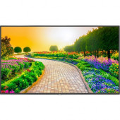 NEC Display 43" Ultra High Definition Professional Display with Integrated ATSC/NTSC Tuner - 43" LCD - Yes - 3840 x 2160 - Edge LED - 500 Nit - 2160p - HDMI - USB - SerialEthernet M431-AVT3