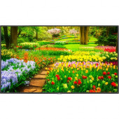 NEC Display 49" Ultra High Definition Professional Display with Integrated ATSC/NTSC Tuner - 49" LCD - Yes - 3840 x 2160 - Edge LED - 500 Nit - 2160p - HDMI - USB - SerialEthernet - TAA Compliance M491-AVT3