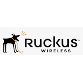 Ruckus - Serial cable - mini-USB Type B (M) to RJ-45 (M) CC-MINIUSB-RJ45