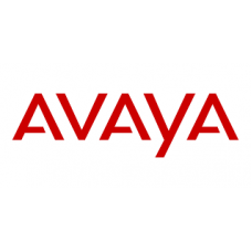 Avaya Inc J100/K100 RPLCMNT HANDSET CORD 700512662
