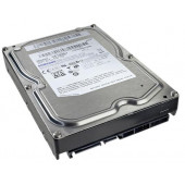 SAMSUNG Spinpoint F3r Enterprise Class 1tb 7200rpm Sata 3.0gb/s 3.5inch 32mb Buffer Internal Hard Disk Drive HE103SJ