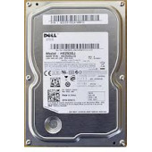 SAMSUNG Spinpoint F3r 250gb 7200rpm Sata 3.0gb/s 3.5inch 16mb Buffer Internal Hard Disk Drive HE253GJ