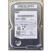 SAMSUNG Spinpoint F3r 250gb 7200rpm Sata 3.0gb/s 3.5inch 16mb Buffer Internal Hard Disk Drive HE253GJ